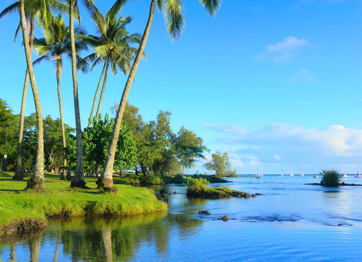 Best of the Best of Hilo Hawaii